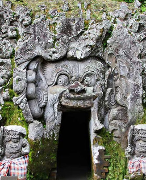 The Pala Ubud - goa gajah